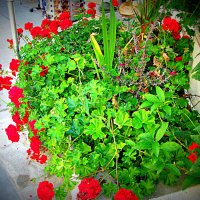 Цветная композиция. :: Владимир Драгунский