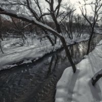 В парке. :: Владимир Владимир