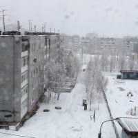 Наша зимняя весна :: Ольга 