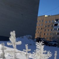 Весенние наряды Заполярья :: Ольга 