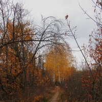 октябрь :: Елена Шаламова