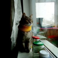 Есть такая работа - светофор :: Maria Rainer