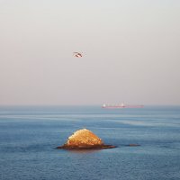 В Оманском заливе :: Галина Ильясова