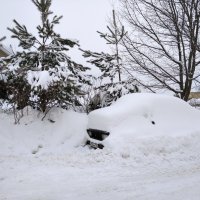 В с.Заворово :: Елена Семигина