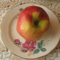 **** :: Елена Семигина