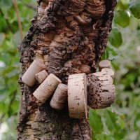 Пробковое дерево :: Ольга Кубынина Пробковое дерево :: Ольга Кубынина