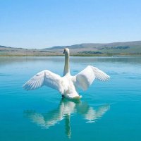 На взлет! :: СЕРГЕЙ ФИЛОЧКИН