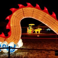 Ночные сказки :: Liudmila LLF