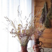 Сухоцветы — это застывшая красота, поэзия увядания... :: Galaelina ***