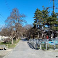 Март в ростовском зоопарке :: Нина Бутко