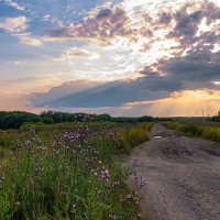 Ухта, Коми. Летний вечер в северных полях у реки Ухта. Красота, лепота и много... комарья) :: Николай Зиновьев