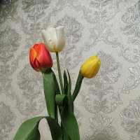 Цветы в вазе :: М С