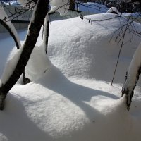 Тени :: Александр 