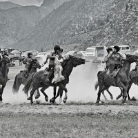 КОК-БОР. По Алтаю 98. :: Виталий Половинко