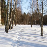 Весенний пейзаж. :: Милешкин Владимир Алексеевич 