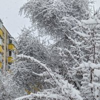 Снежная зима :: Геннадий Худолеев Худолеев