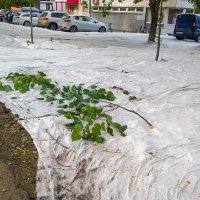 Майская подготовка к летнему благоустройству (Москва 2025) :: Yury Mironov