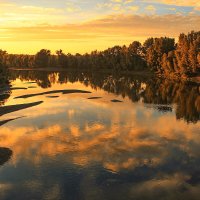 Закаты на Обских протоках :: елена беликова