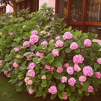 Барселона. :: Владимир Драгунский