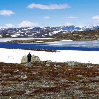 Здесь нет деревьев и кустов :: Alexandеr P