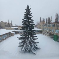 Март :: Венера Чуйкова