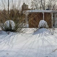 Пончики :: Eugene *