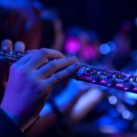 Флейта. :: Константин Белоногов