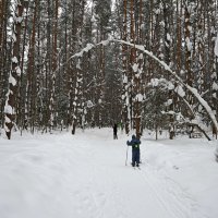 По лесу сказочному. :: ВикТор Быстров