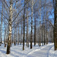 Вот и март.... :: Наталья ***