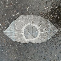 МЕДуза Бахилиус :: Юрий Вовк