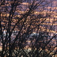 Закат :: Александр Буторин