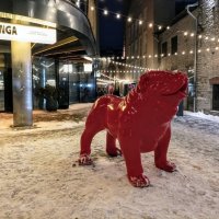 Вечерняя прогулка :: Veera V