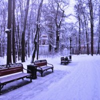В парке :: Людмила Смородинская