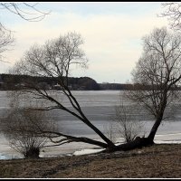 *** :: Aleksandr Gal