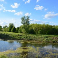 Донские виды. :: Виктор 