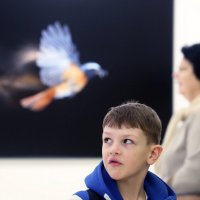 Первозданная Россия в Манеже 3 марта :: Михаил Бибичков