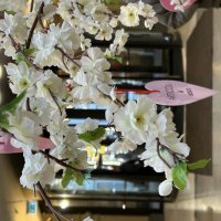 ГУМ :: Натали 