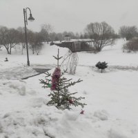 "Мы в пух и прах наряжали тебя..." :: Игорь Ч.