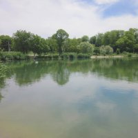 Весенний  пейзаж :: Валентин Семчишин