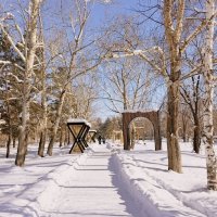 Солнце , воздух и .., зима ! :: Мила Бовкун