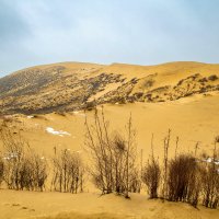 Пустыня зимой. Бархан Сарыкум. Дагестан. :: Дина Евсеева