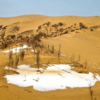 Пустыня зимой. Бархан Сарыкум. Дагестан. :: Дина Евсеева