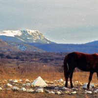 давняя пленка :: Всеволод 