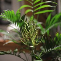 Тест Canon 5D Mark2 :: Михаил Елочкин Тест Canon 5D Mark2 :: Михаил Елочкин