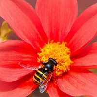 Солнечный этюд. :: Марина Леонидовна