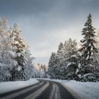 дорога...... :: Ольга Cоломатина