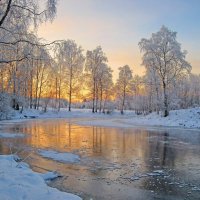 река Савайнйоки :: Ольга Cоломатина