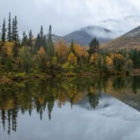 Первый снег....... :: Юрий Цыплятников