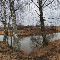Река Шерна :: Денис Бочкарёв