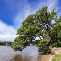 Не сдается! :: Евгений 